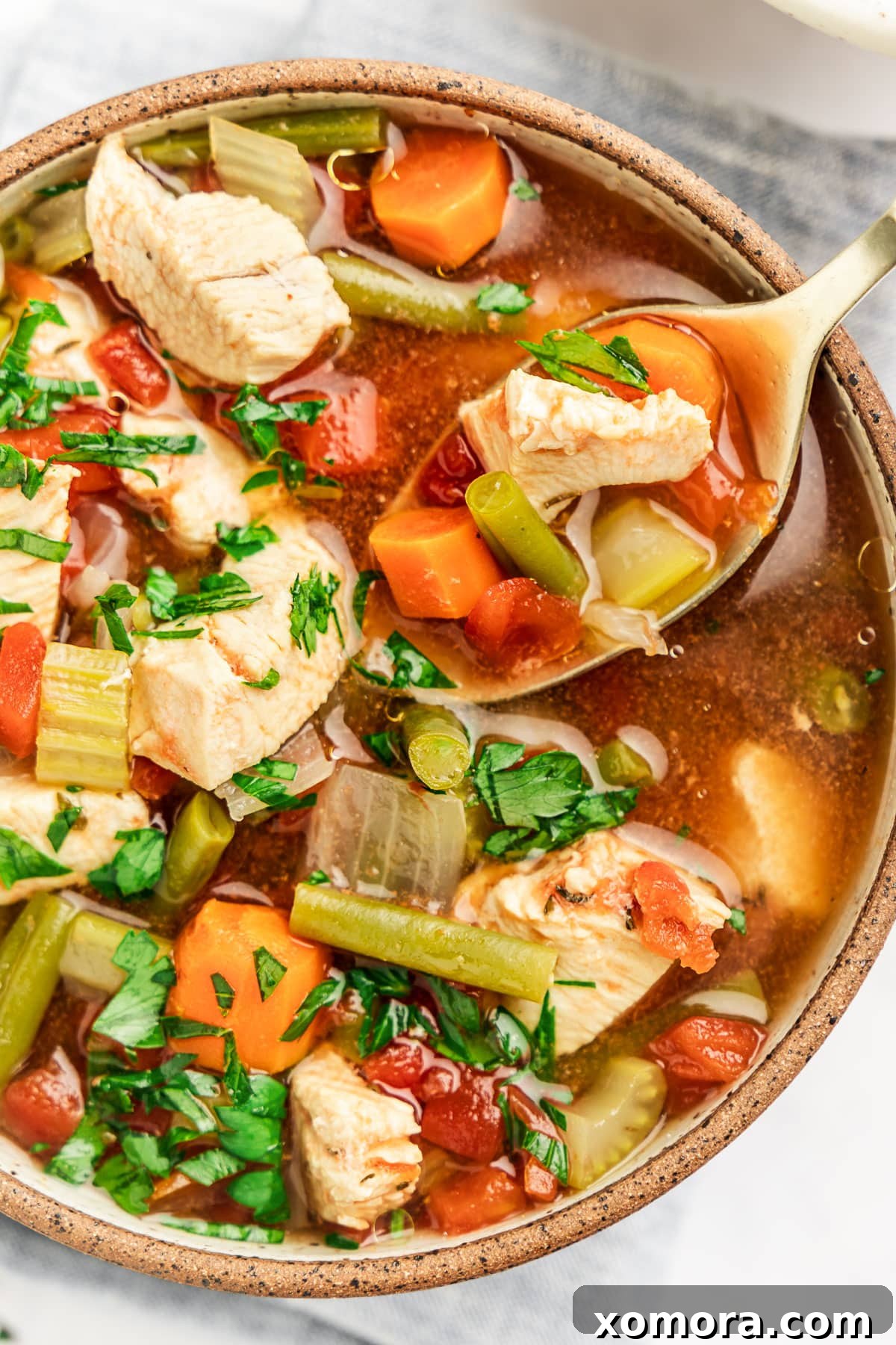 Hearty Instant Pot Chicken Vegetable Soup - Xomora