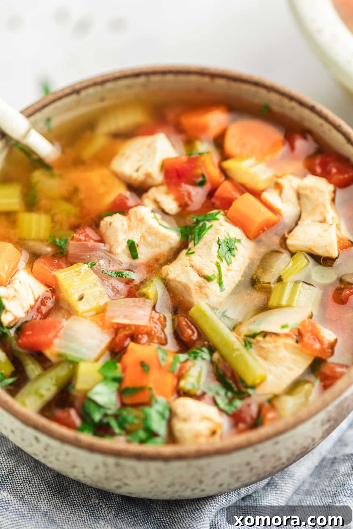 A bowl of Instant Pot Chicken and Vegetable Soup, garnished with fresh parsley and a slice of bread on the side.