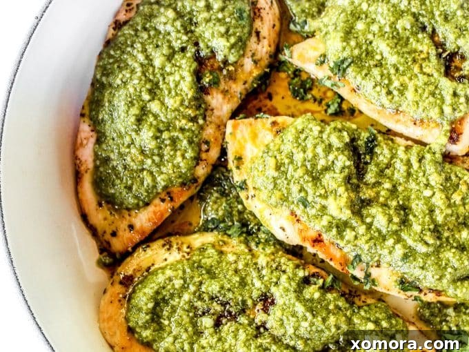 A dish of dairy-free pesto chicken, garnished with fresh basil leaves.