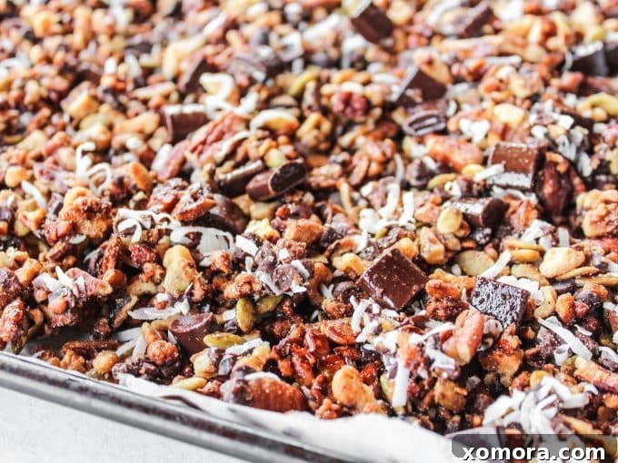 Irresistible Grain Free Chocolate Chunk Granola 3 A bowl of grain-free granola with chocolate chunks, ready to be served, highlighting the texture and richness.