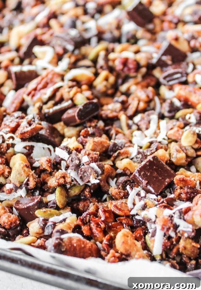 Irresistible Grain Free Chocolate Chunk Granola 5 Another beautiful shot of the grain-free chocolate chunk granola, showcasing its texture and deliciousness.