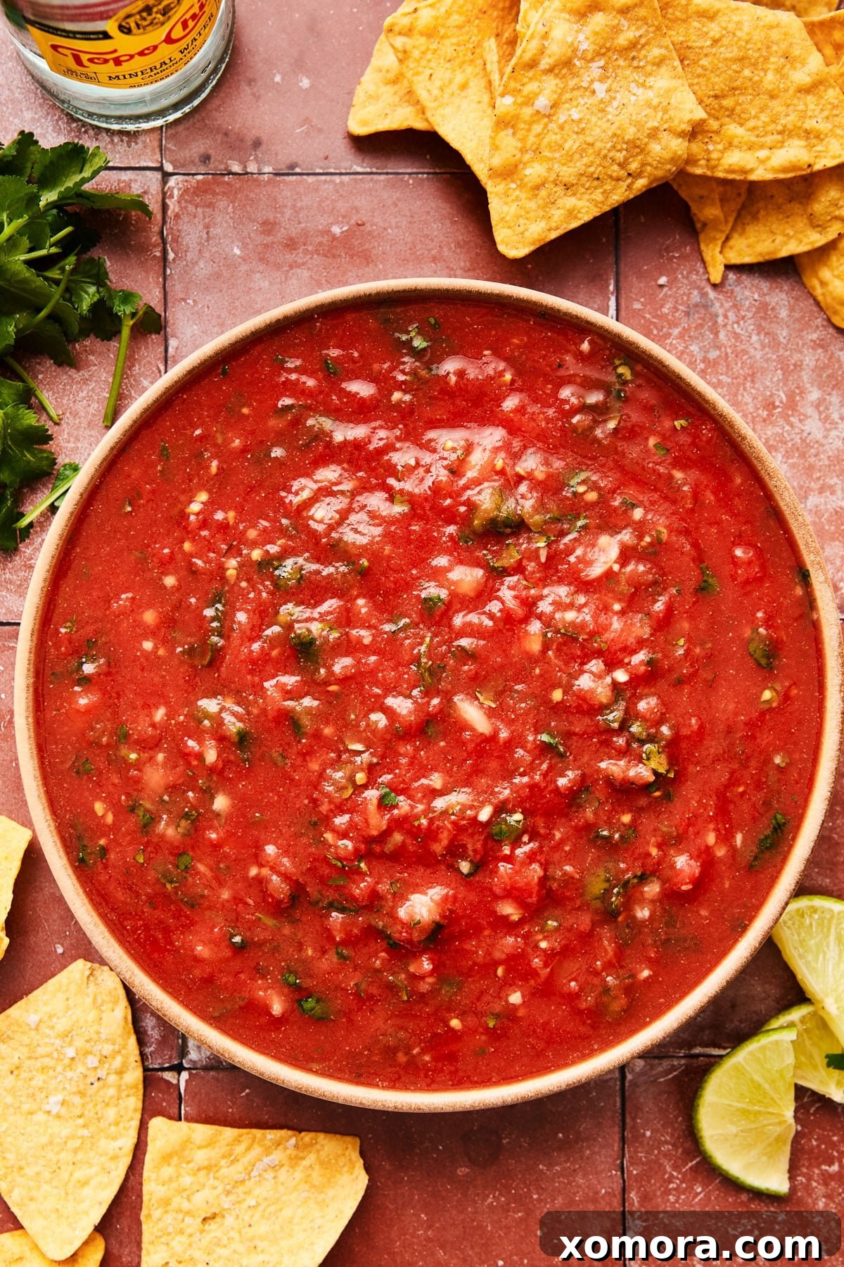 Quick 5 Minute Blender Salsa Restaurant Quality 2 Freshly blended 5-minute restaurant-style salsa in a rustic bowl, surrounded by crispy tortilla chips, perfect for dipping.