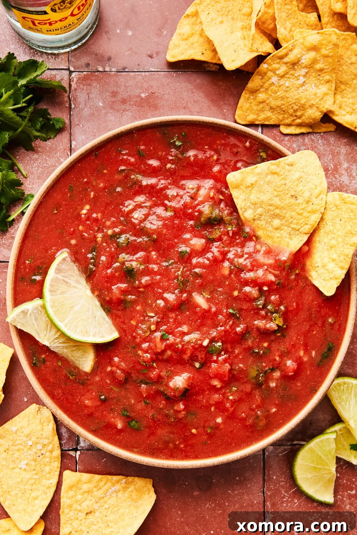 Quick 5 Minute Blender Salsa Restaurant Quality 5 A large serving bowl filled with fresh 5-minute blender salsa, surrounded by a generous pile of crispy tortilla chips, perfect for a party appetizer.