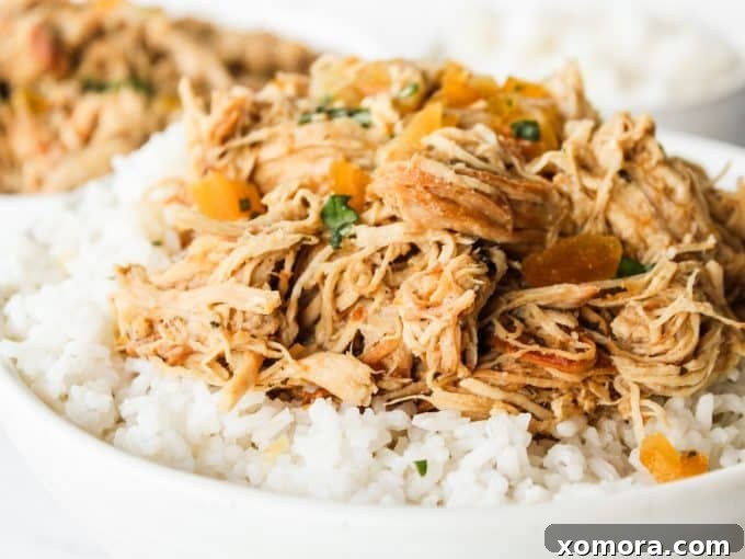 Instant Pot Apricot Glazed Chicken 5 A bowl of Instant Pot Apricot Chicken with rice, garnished with fresh basil.