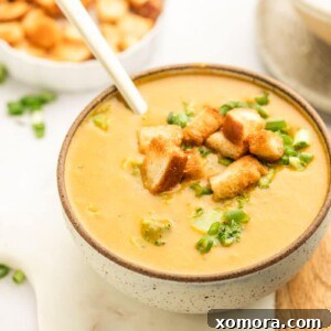 Creamy Dairy Free Broccoli Cheddar Soup 6 Dairy-Free Broccoli Cheese Soup