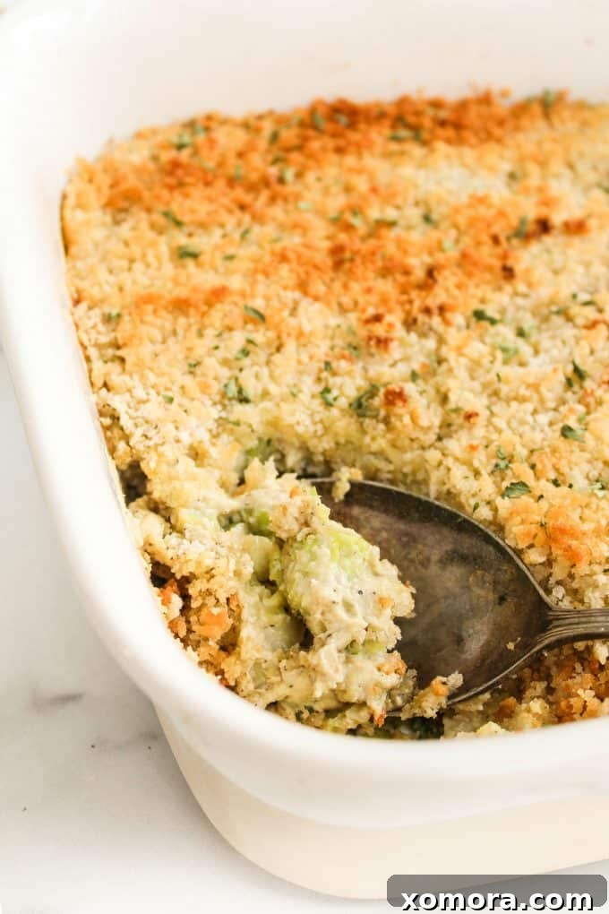 Creamy Vegan Brussels Sprouts Gratin 2 Dairy-Free Brussels Sprouts Gratin with tender brussels sprouts, creamy sauce, and crunchy breadcrumbs.