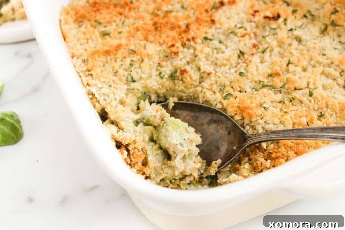 Creamy Vegan Brussels Sprouts Gratin 6 Fresh brussels sprouts ready for cooking.
