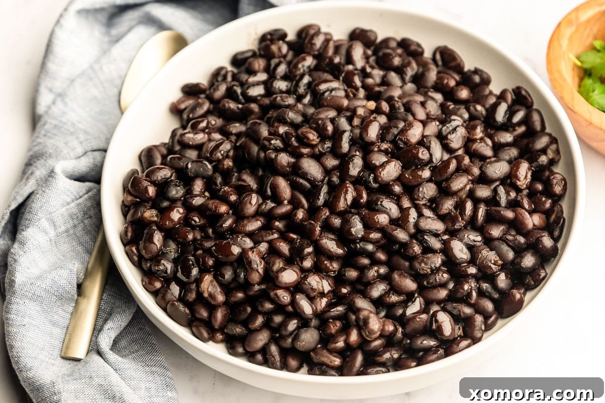 Creamy Instant Pot Black Beans 4 Cooked Instant Pot Black Beans in a serving bowl, garnished with fresh cilantro.