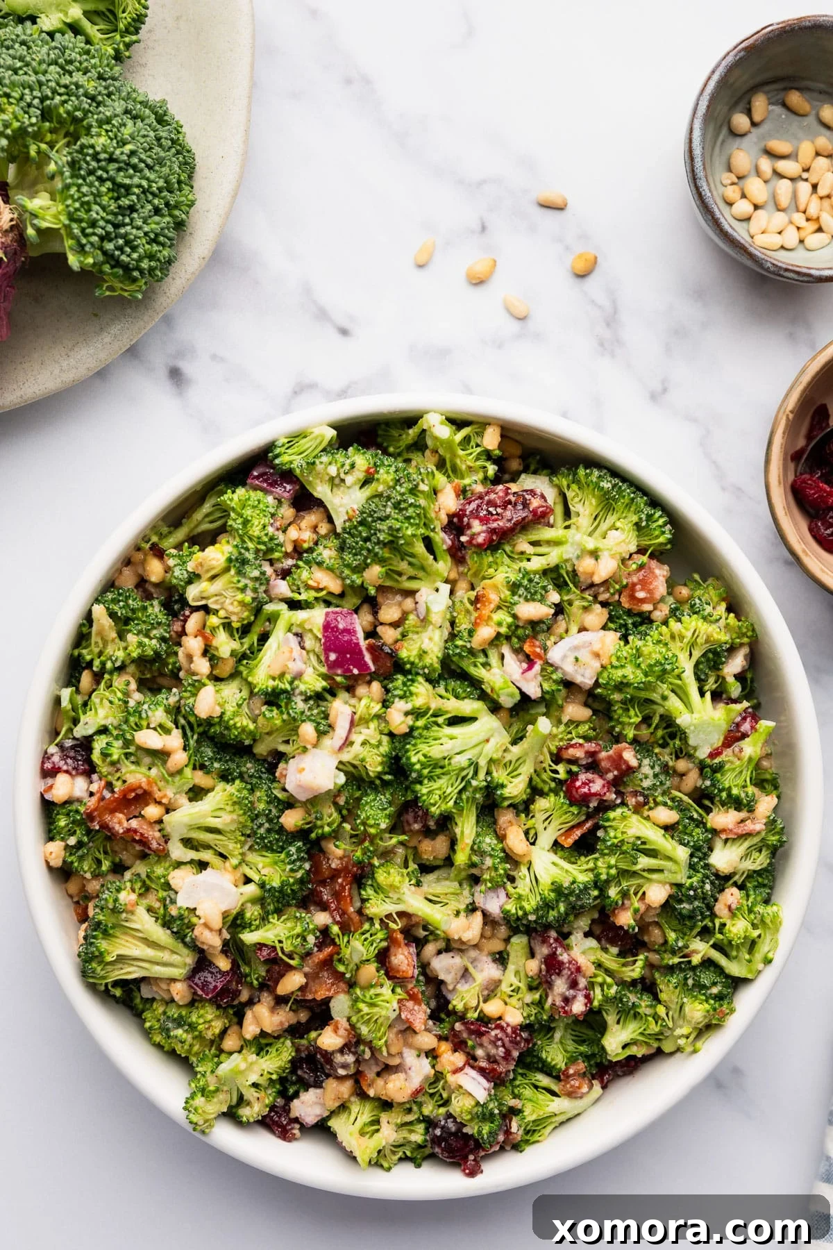 A vibrant bowl of Easy Crunchy Parmesan Broccoli Salad with fresh broccoli florets, red onion, dried cranberries, pine nuts, and a creamy dressing, garnished with crispy bacon bits.