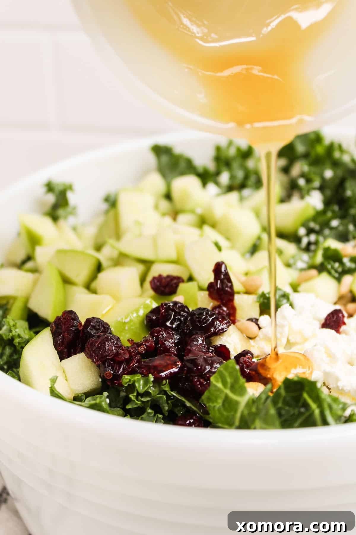 A beautifully plated Easy Kale Salad with goat cheese, apples, cranberries, and pine nuts, drizzled with honey lemon dressing.