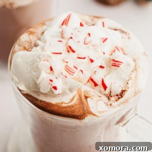 Homemade Peppermint Hot Chocolate in a mug with whipped cream and candy canes.