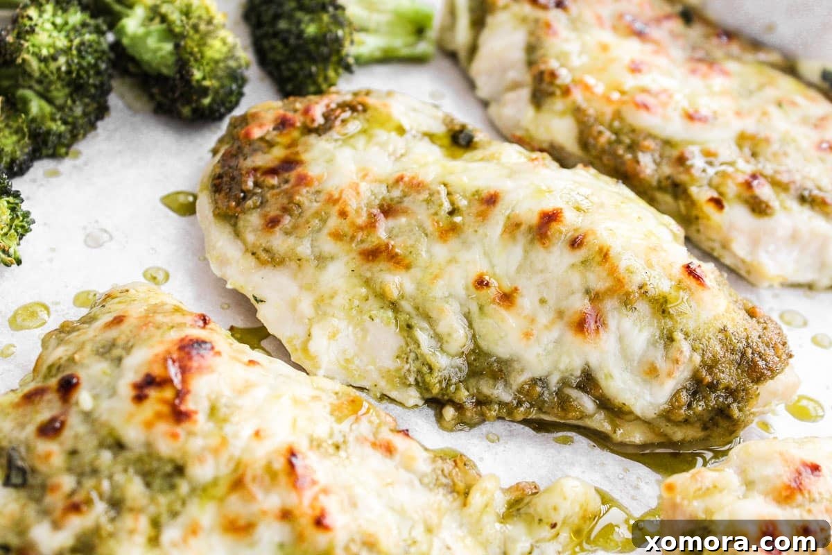 Melted mozzarella cheese over pesto chicken breasts on a baking sheet
