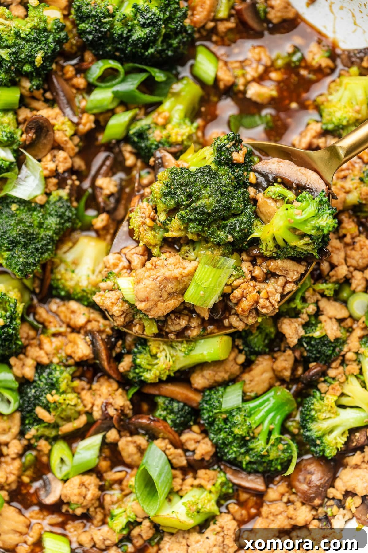 Quick and Healthy Ground Chicken Broccoli Stir-Fry 4 Finished Ground Chicken and Broccoli Stir Fry ready to be served