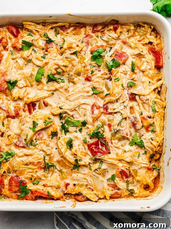 Guilt-Free Game Day Bites 16 Dairy Free Green Chile Chicken Dip