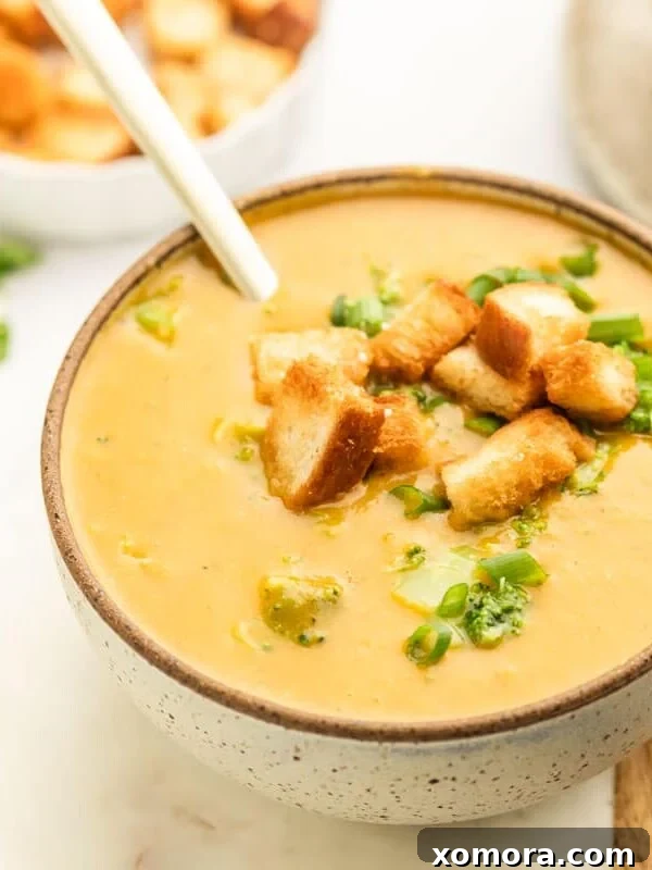 Guilt-Free Game Day Bites 21 Dairy Free Broccoli Cheese Soup