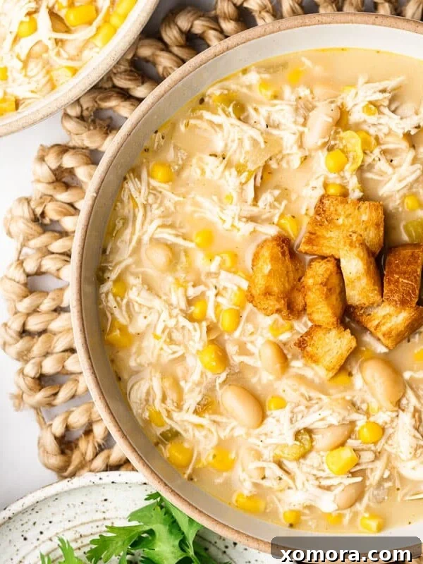 Guilt-Free Game Day Bites 31 Slow Cooker White Chicken Chili