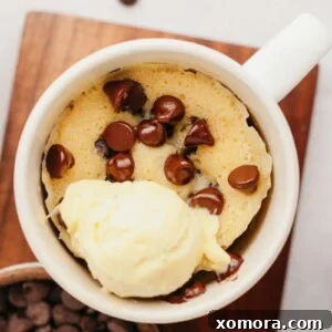 Gluten Free Chocolate Chip Mug Cake