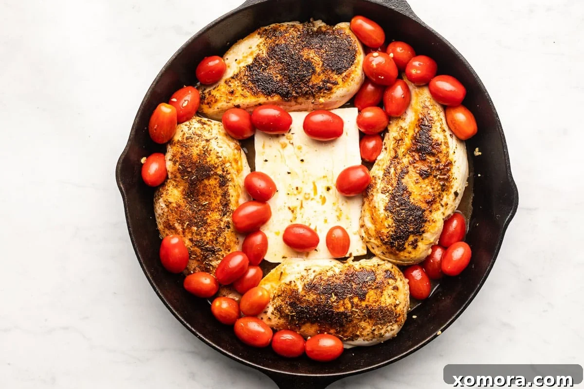 Zesty Feta Chicken Bake 3 Overhead shot of the baked feta chicken with tomatoes and herbs.