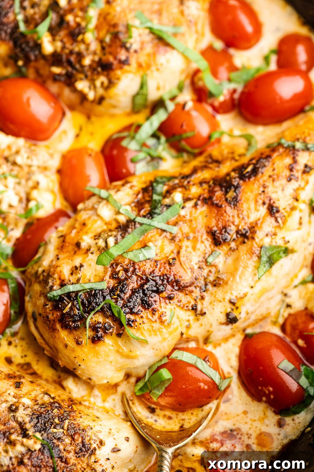 Zesty Feta Chicken Bake 5 A serving of baked feta chicken on a plate with fresh basil garnish.