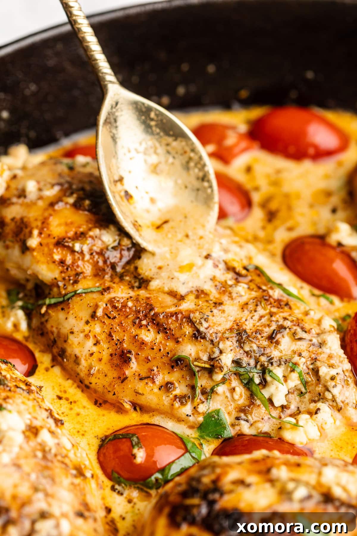 Zesty Feta Chicken Bake 6 Plated baked feta chicken, showing the sauce, tomatoes, and basil.