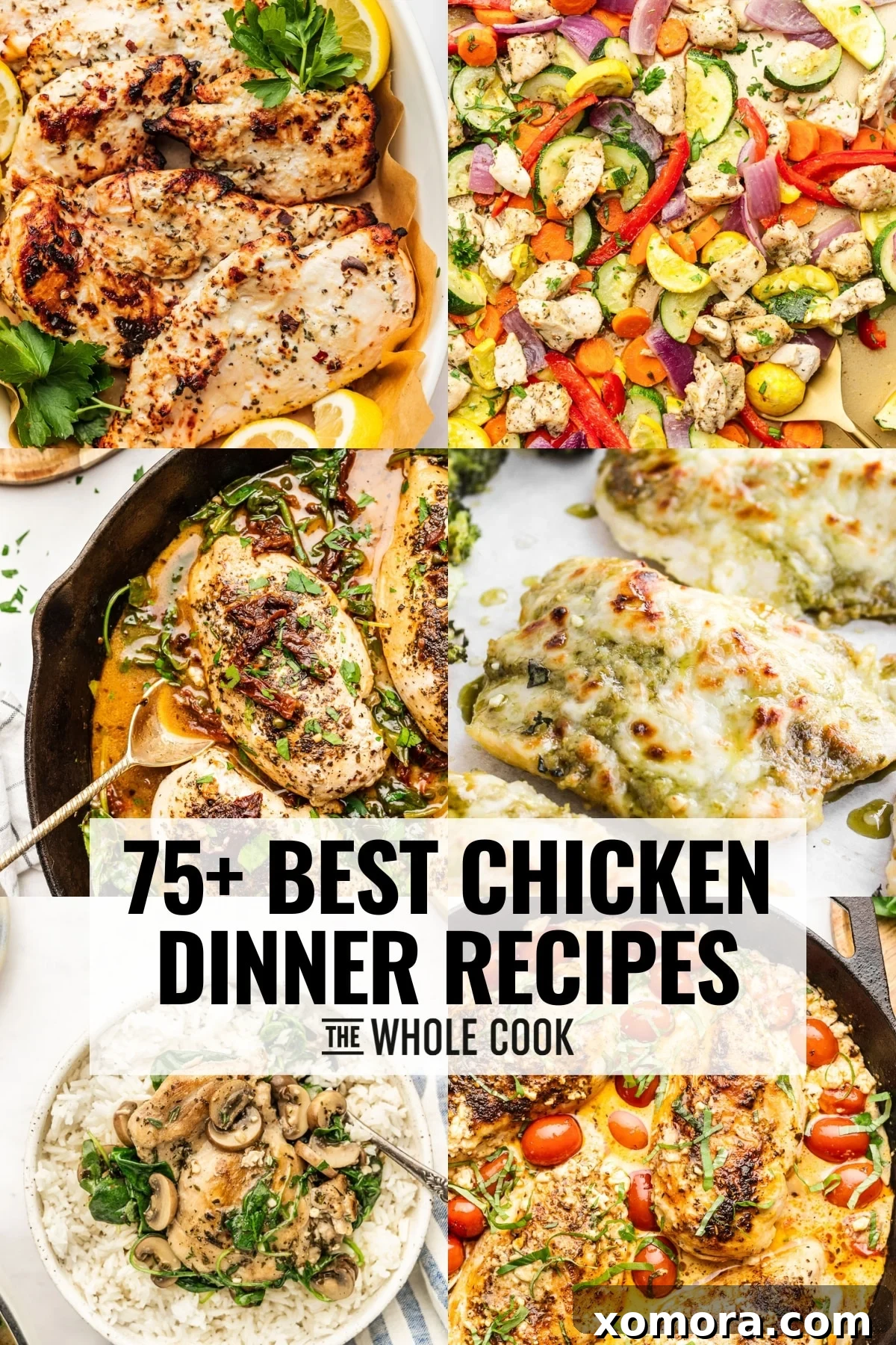 A vibrant platter of various cooked chicken dishes, showcasing the diverse range of recipes available.