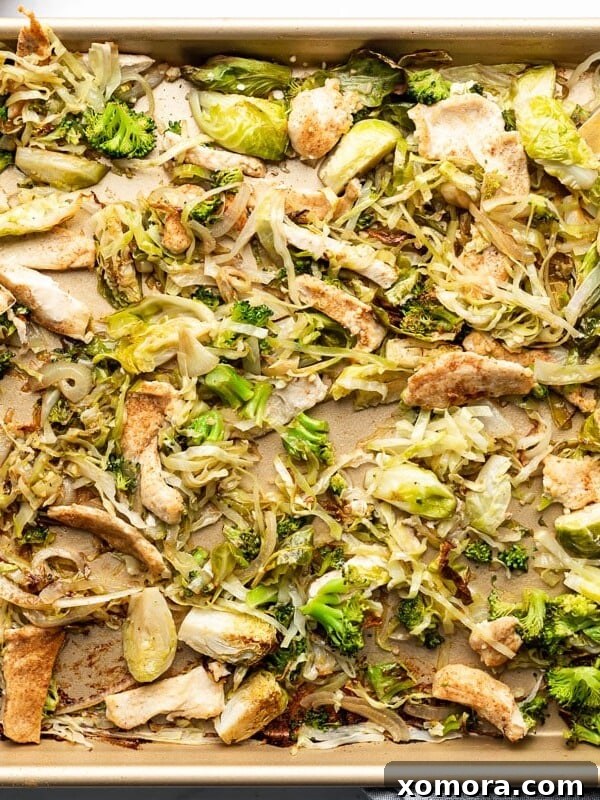 Sheet Pan Chicken and Cabbage Stir Fry, vibrant and satisfying.