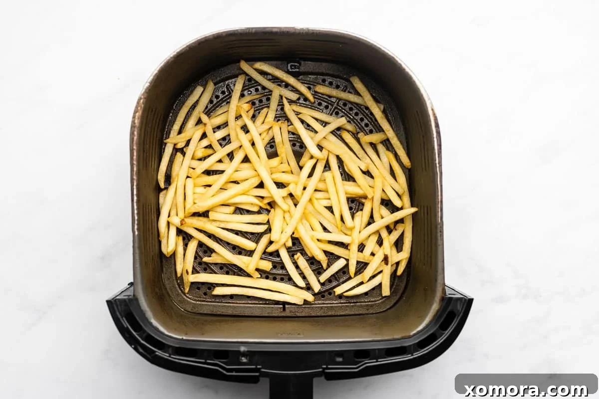Perfectly Crispy Air Fryer Frozen Fries 3 Close-up of crispy Air Fryer Frozen French Fries