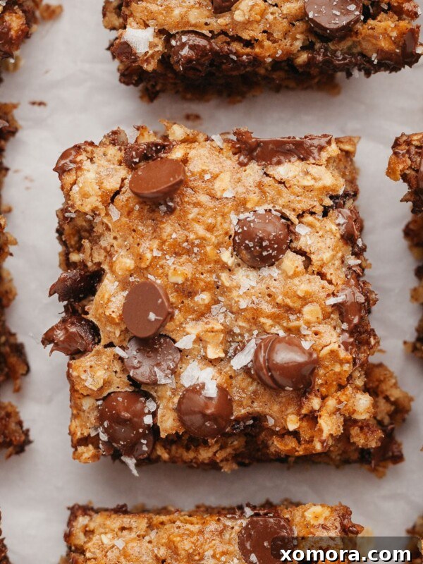 Healthy Chocolate Chip Oatmeal Bars, cut into squares.