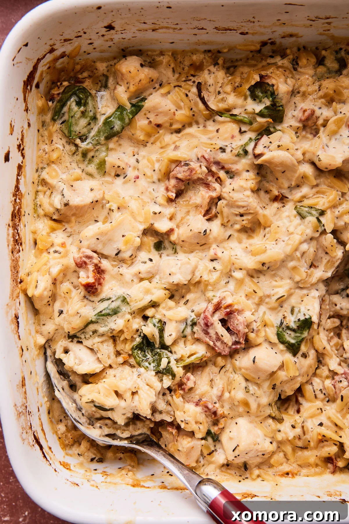 Dreamy Chicken Orzo Casserole 2 Delicious one-pot creamy chicken orzo bake ready to serve.