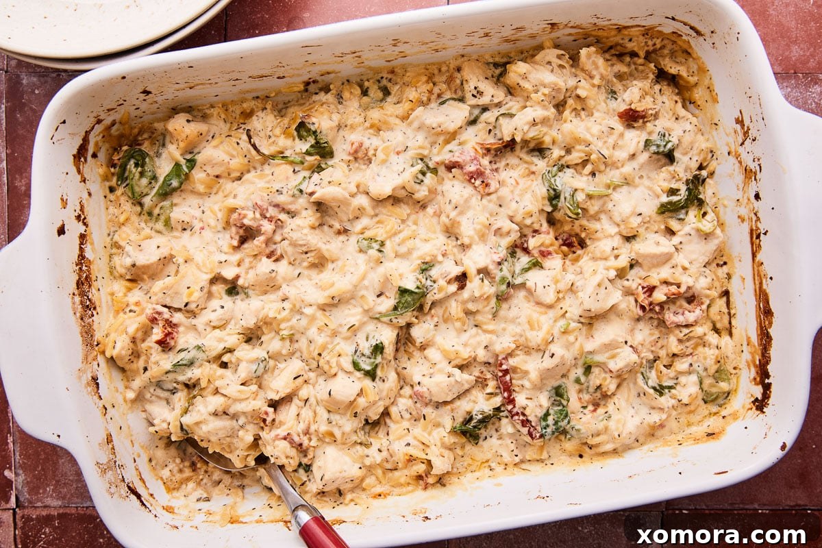 Dreamy Chicken Orzo Casserole 5 Freshly baked creamy chicken orzo, still in the baking dish.