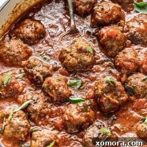 Meatballs in Marinara Sauce