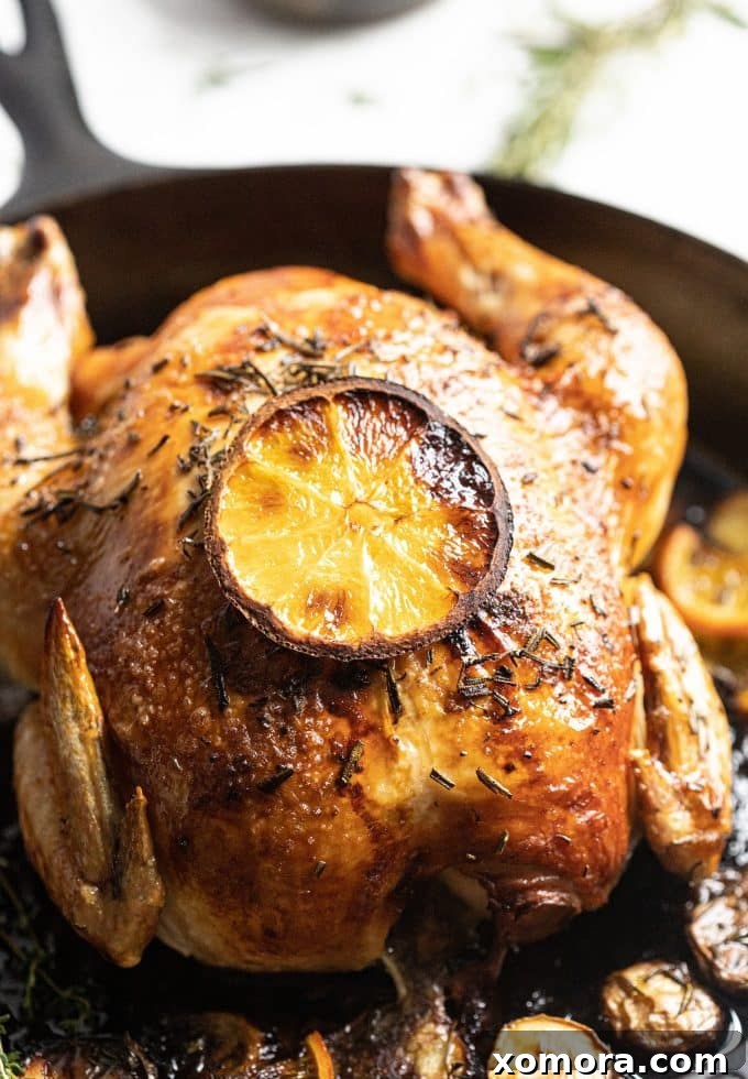 Citrus Herb Roasted Chicken with Crisp Potatoes 2 Whole Orange Herb Roasted Chicken with fresh herbs and orange slices