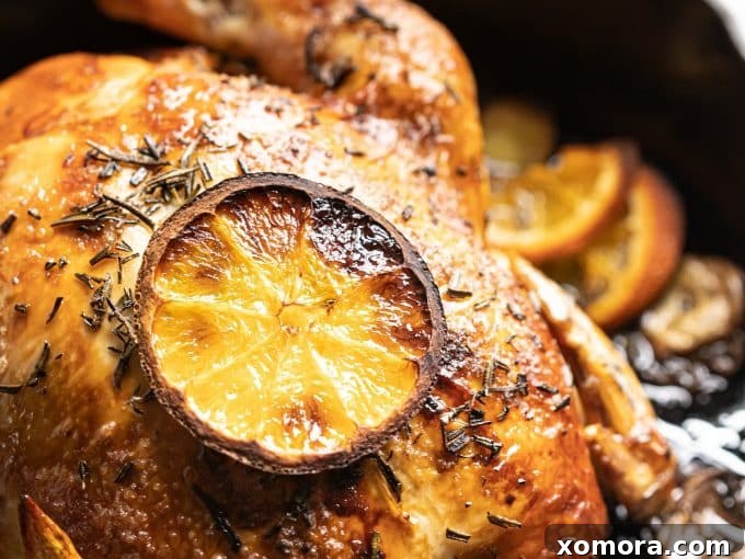 Citrus Herb Roasted Chicken with Crisp Potatoes 5 Close-up of golden brown roasted chicken skin with fresh herbs and oranges