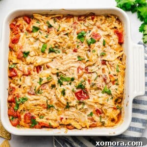 Creamy Dairy-Free Green Chile Chicken Dip 7 Dairy Free Green Chile Chicken Dip