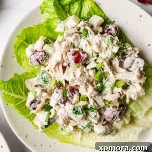 A round, top-down view of the ultimate chicken salad, perfectly portioned, rich in color and texture.