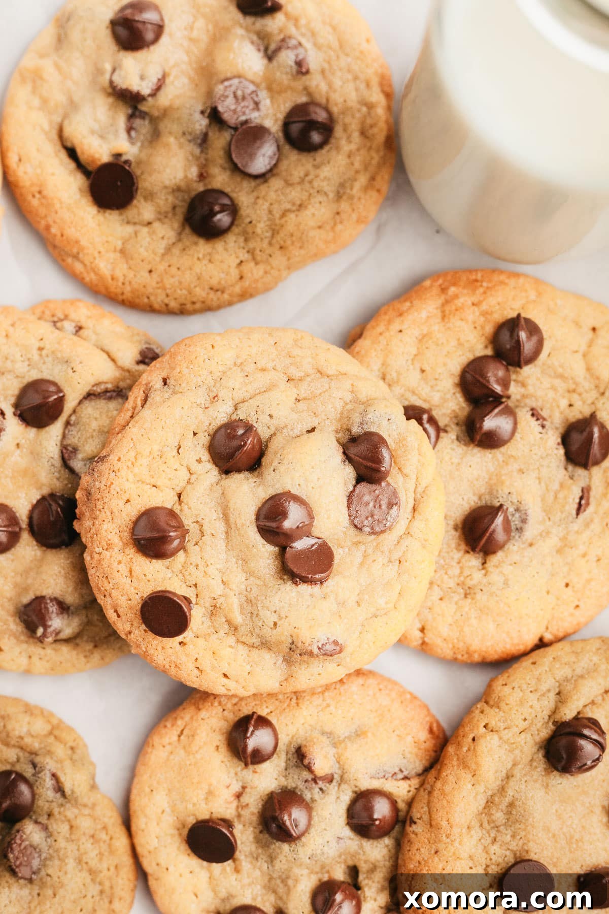 Plant-Based Chocolate Chip Bliss 5 A baking sheet filled with freshly baked dairy-free chocolate chip cookies.