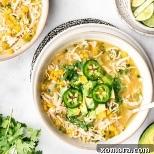 Zesty Salsa Verde Chicken Soup 6 A perfectly portioned bowl of Salsa Verde Chicken Soup, ready to be served.