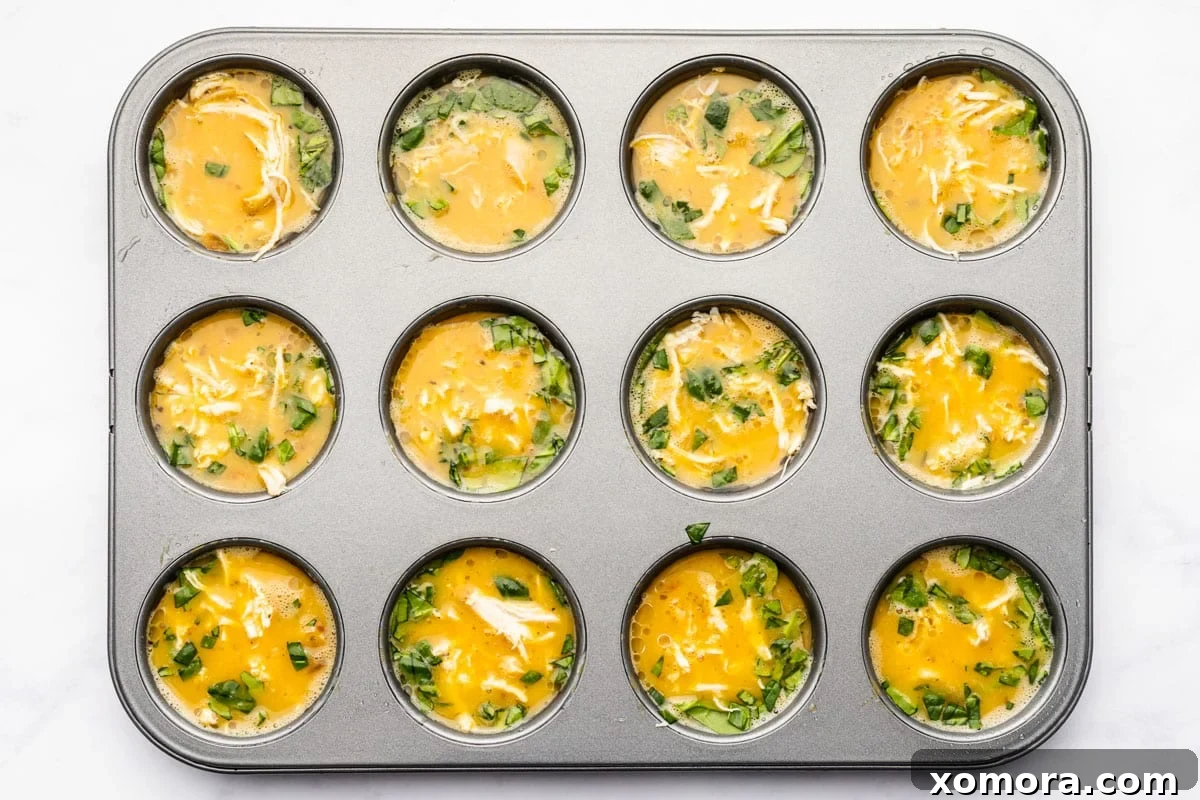 Salsa Chicken Egg Bites Low Carb Dairy Free 4 Arrangement of ingredients for Salsa Chicken Egg Muffins including eggs, salsa, spinach, and shredded chicken