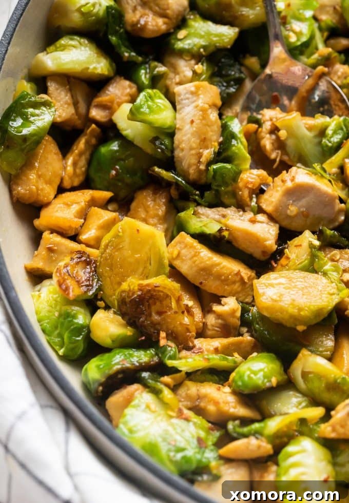 Savory Skillet Chicken and Roasted Brussels Sprouts 2 Skillet Chicken & Brussels Sprouts cooked to perfection in a cast iron skillet, garnished with fresh herbs.