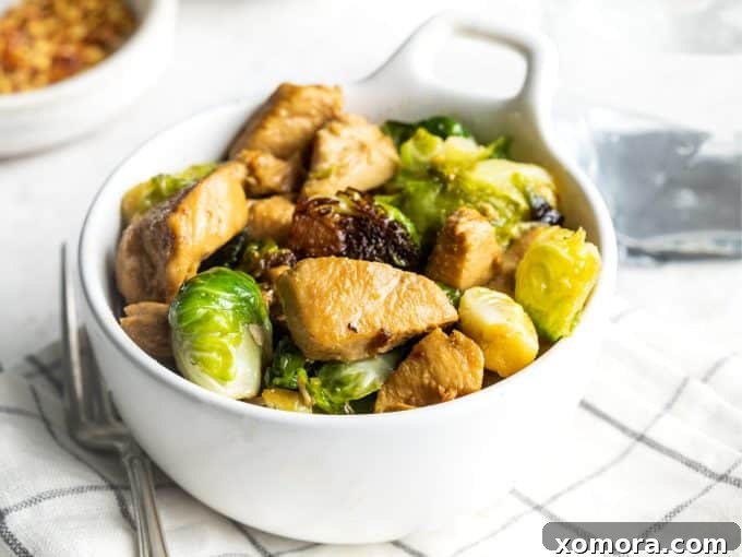 Savory Skillet Chicken and Roasted Brussels Sprouts 3 A close-up of the Skillet Chicken & Brussels Sprouts dish, showing the browned chicken and tender sprouts coated in sauce.