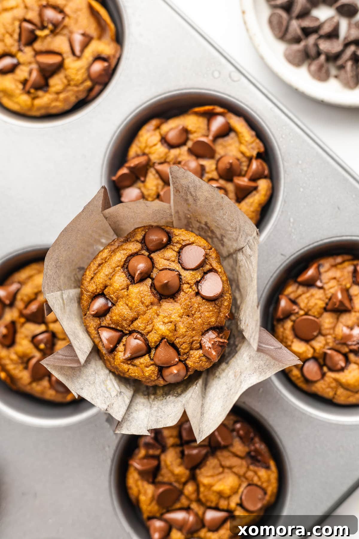 Wholesome Pumpkin Oat Muffins 2 Delicious and healthy pumpkin oat muffins on a cooling rack, garnished with chocolate chips