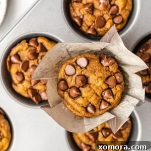 Healthy Pumpkin Oat Muffins