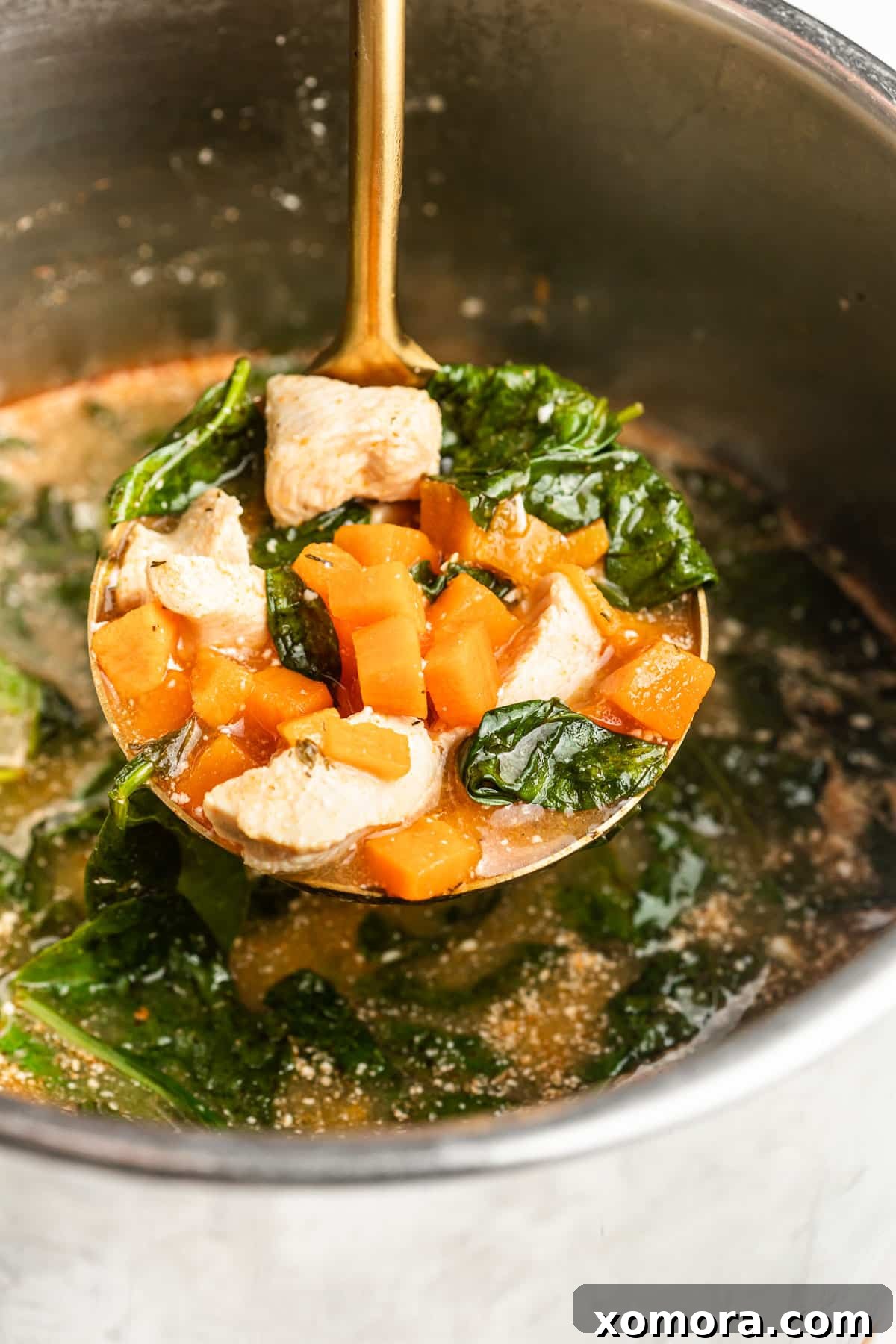 Instant Pot Tangy Buffalo Chicken Sweet Potato Soup 5 The finished Instant Pot Buffalo Chicken Sweet Potato Soup in an elegant bowl, garnished with blue cheese crumbles and finely chopped green onions.
